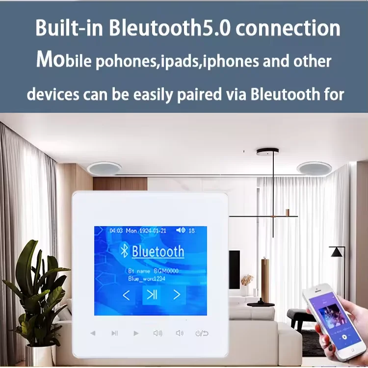 Ev Bluetooth Duvar Amplifikatö - Home Cinema Accessories incelemesi ve fiyatı