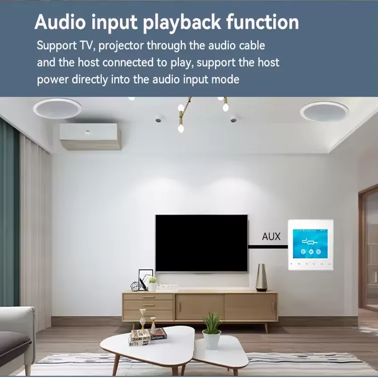 Ev Bluetooth Duvar Amplifikatö - Home Cinema Accessories incelemesi ve fiyatı