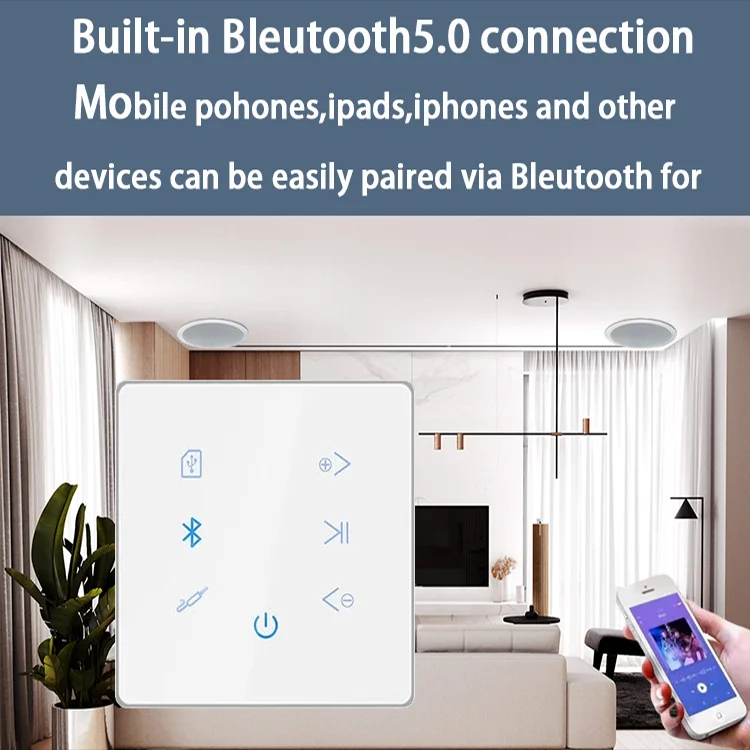 Bluetooth duvar amplifikatör e - Home Cinema Accessories incelemesi ve fiyatı